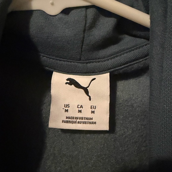 Puma Men's Dark Teal Hoodie - Picture 2 of 3